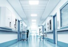 Βόλος: 48χρονος έπεσε από δέντρο και δίνει μάχη για τη ζωή του – Νοσηλεύεται διασωληνωμένος στη ΜΕΘ