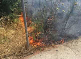 Λάρισα: Τους κόστισε η απερισκεψία! Τσουχτερά πρόστιμα για φωτιές