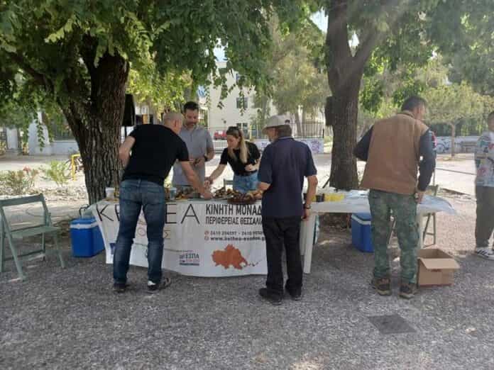 KM THESSALIAS_ANAVROS_2 (Copy)