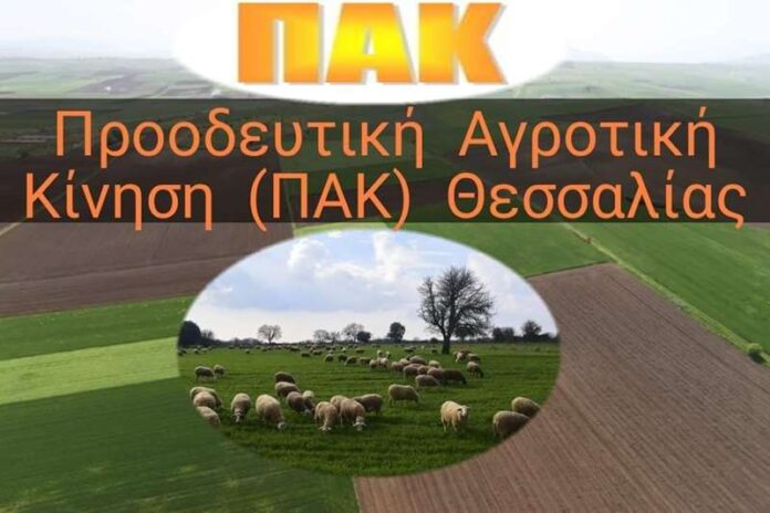 PAK (Copy)