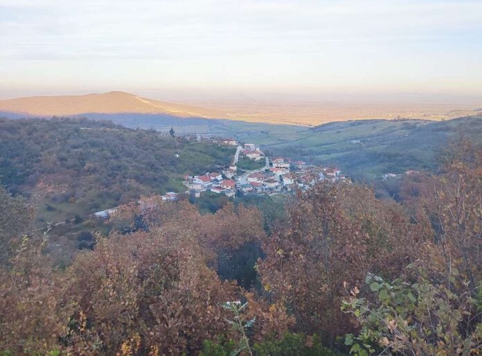 XVRIO KARD (Copy)