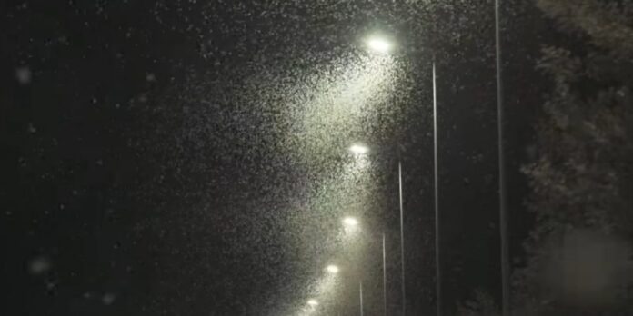 202407131956230462-1200x600-1