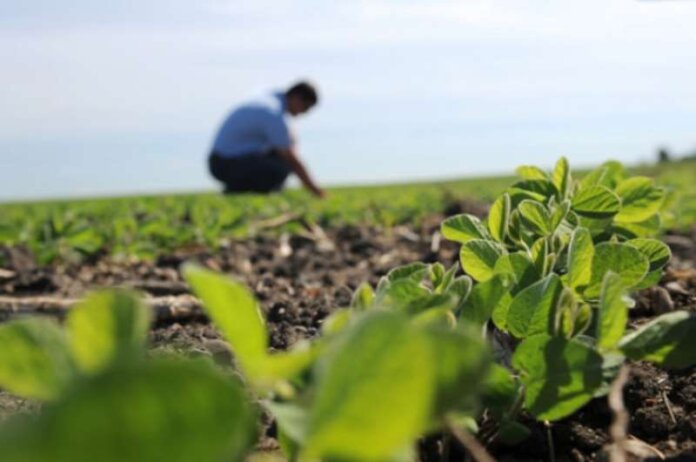 xvrafi agroths (Copy)