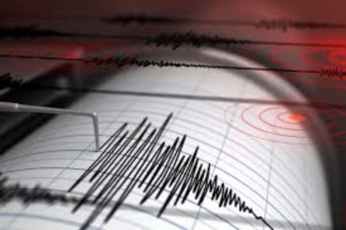 seismos (Copy)