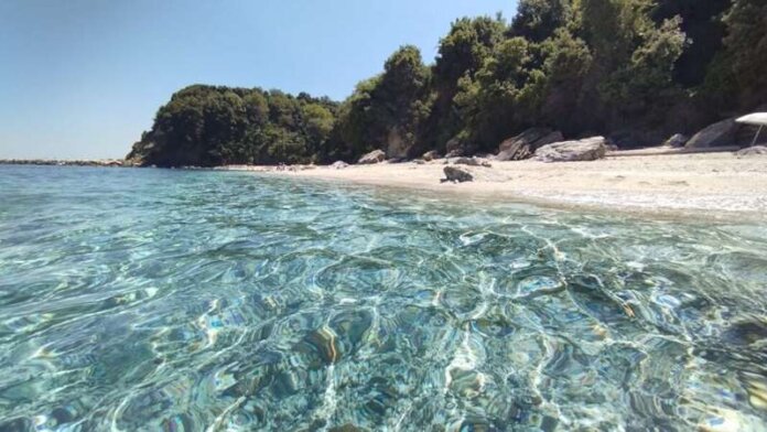phlio thalassa (Copy)