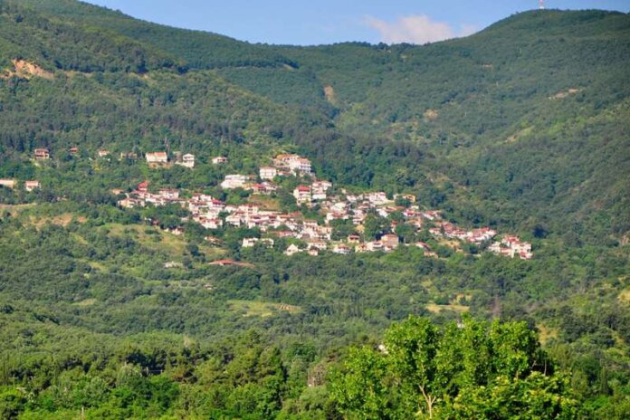 mosxato-karditsas (Copy)