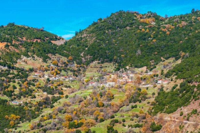 anatoliki_argithea_koumpouriana_1-696x464 (Copy)
