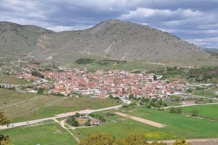 krini1 (Copy)