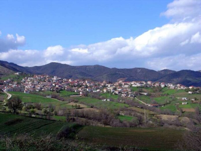 agnantia (Copy)