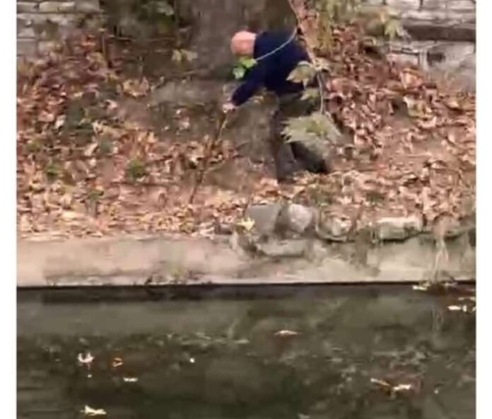Screenshot_20241105_133714_Messenger-Small (Copy)