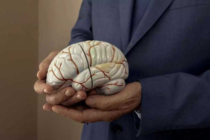 brain_apress-2048x1365 (Copy)