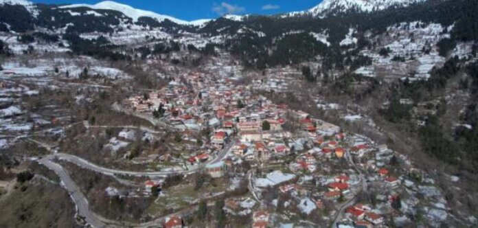 stoy (Copy)
