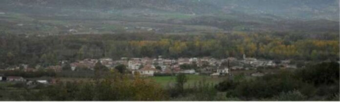 AMOURI (Copy)