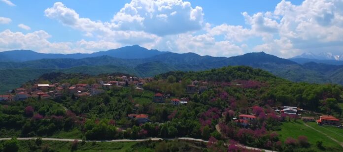 XVRIO KARDITSA
