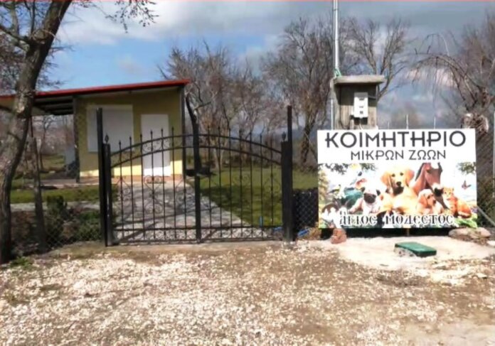 koimhthrio zvvn