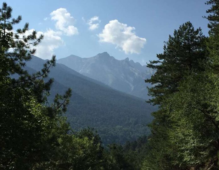 OLYMPOS