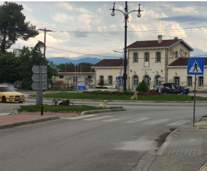 ose trikala