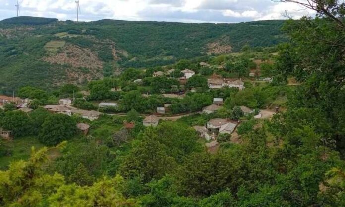 20536385-xorio (Copy)