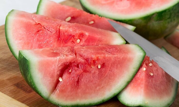 watermelon-1969949