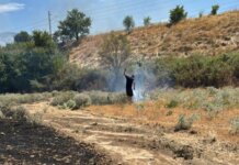 Λάρισα: Πυρκαγιά παράπλευρα της Εθνικής (ΦΩΤΟ – ΒΙΝΤΕΟ)
