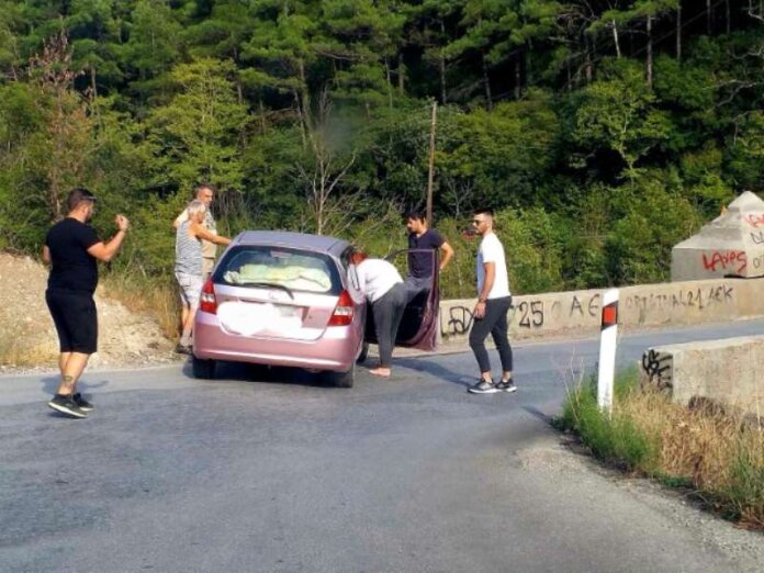 IMG-d596d7f861e92fdbbd70625c355babd7-V-1-Small (Copy)