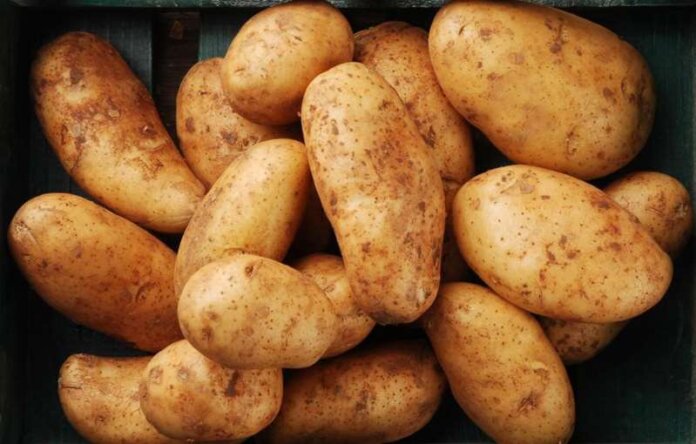 patates (Copy)