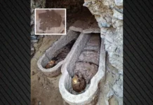 Το στομάχι της αιγυπτιακής μούμιας έκρυβε αντίγραφο της Ιλιάδας – Εμειναν άφωνοι οι αρχαιολόγοι