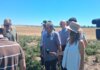 Στο «μικροσκόπιο» του ΕΛΓΑ οι ζημιές στα Φάρσαλα μετά το σφυροκόπημα από χαλάζι και καταιγίδες