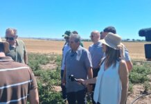 Στο «μικροσκόπιο» του ΕΛΓΑ οι ζημιές στα Φάρσαλα μετά το σφυροκόπημα από χαλάζι και καταιγίδες