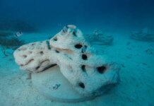 Πόντιση τρισδιάστατων τεχνητών υφάλων στο Εθνικό Θαλάσσιο Πάρκο Αλοννήσου και Β. Σποράδων