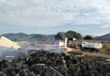 Φωτιά έκαψε ζώα και ποιμνιοστάσιο στα Δελέρια