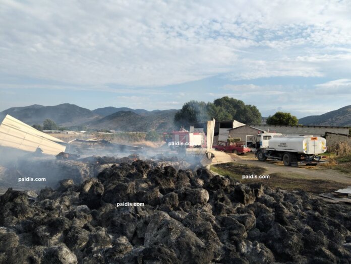 fotia-1