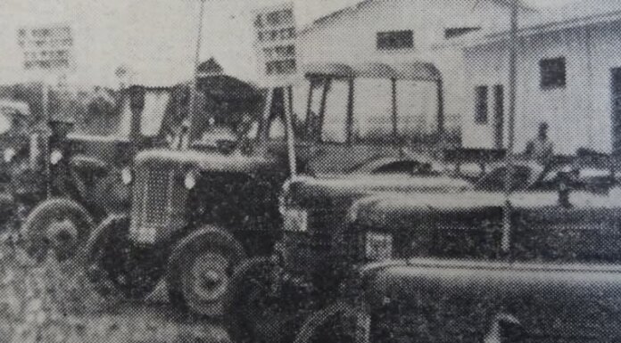 TRAKT PALIA