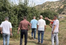Αυτοψία του ΕΛΓΑ στις πληγείσες περιοχές του Δήμου Τυρνάβου – Επιβεβαιώθηκαν οι εκτεταμένες ζημιές στην αγροτική παραγωγή