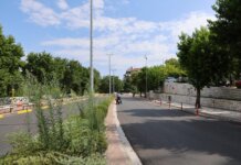 Εργασίες κλαδέματος επί της Γεωργιάδου την Κυριακή – Κλειστό τμήμα της οδού, στο ρεύμα κυκλοφορίας προς την πλευρά του λόφου Φρουρίου