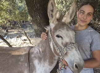 Θεσσαλία: Η νεαρή Σωτηρία και ο δρόμος της κτηνοτροφίας (ΒΙΝΤΕΟ)