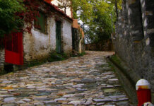 Τουρίστες από τα κρουαζιερόπλοια ανεβαίνουν στην Πορταριά για… 20 λεπτά – «Δεν αφήνουν ευρώ, θέλουν μόνο τις τουαλέτες»