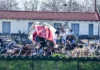 Τέμπη: Καθυστερήσεις στις εκταφές των θυμάτων – «Το Ολλανδικό εργαστήριο ζητά χιλιάδες ευρώ για να προχωρήσουν οι διαδικασίες»