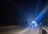 Αυτοκίνητα συγκρούστηκαν με αγριογούρουνα στο δρόμο Τυρνάβου – Λάρισας